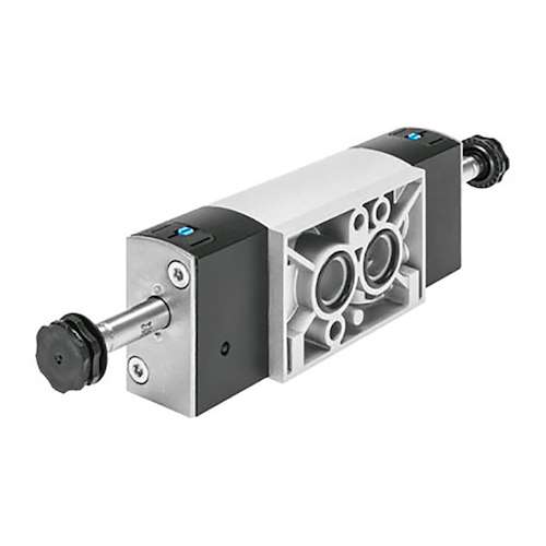 شیر نامور فستو